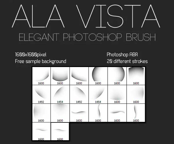 Alavista Elegant Photoshop Brush