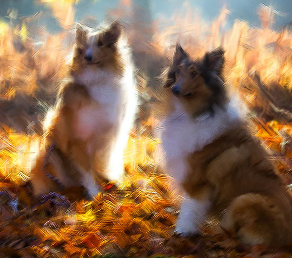 Best Impasto Photoshop Action