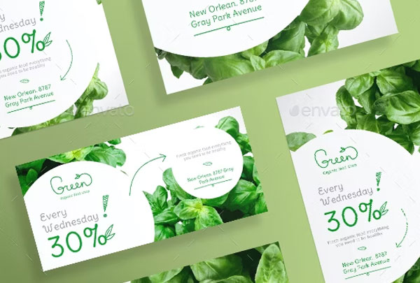 Best Organic Food Flyers