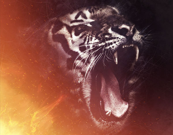 Blizzard Photoshop Action Bundle