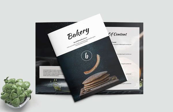 Spa and Massage Bifold Brochure Design
