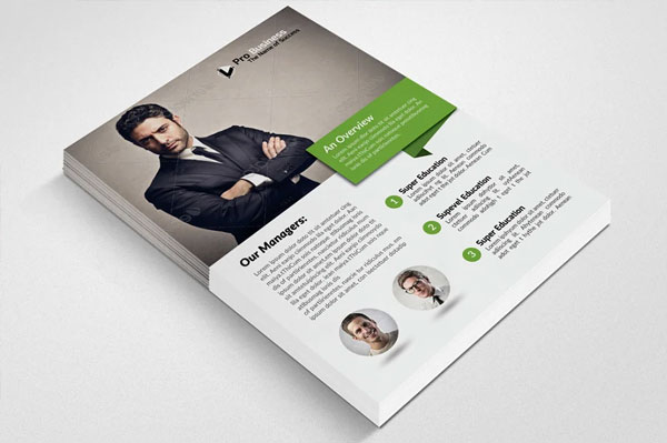 Business Solutions Consultant Flyer