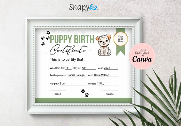 Certificate Design in MS Word