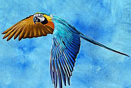 Cloud Paint Photoshop Action