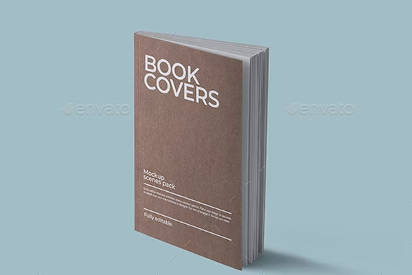Customizable Book Mockup