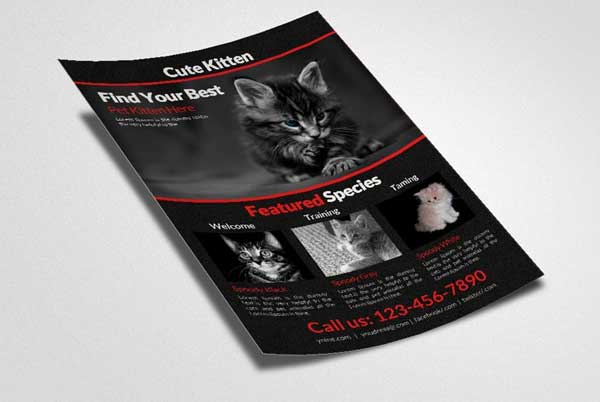 Cute Pets Shop Flyer Template