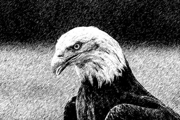 Digital Ink Pen Photoshop Action