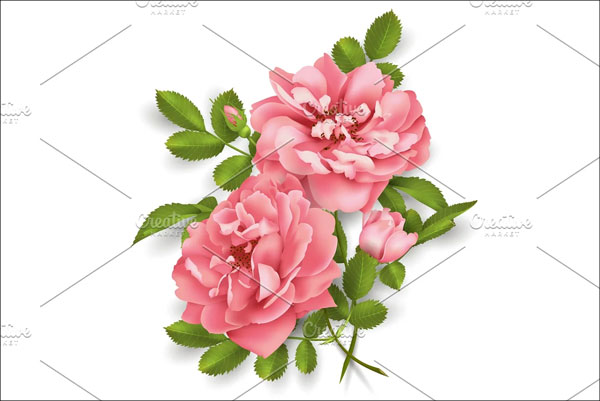 Download 3D Rose Models