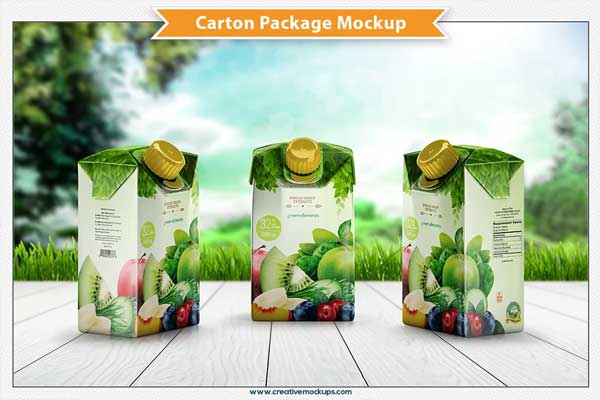 Download Carton Package Mockup