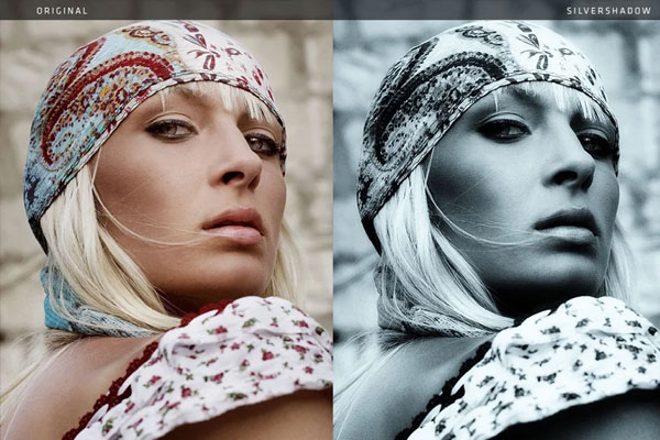 Download Silver Color Photoshop Actions