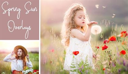 Dreamy Spring Sunlight Overlays