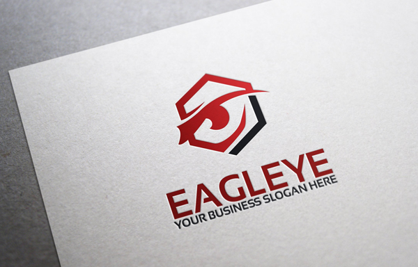 Eagle Eye Logo Design