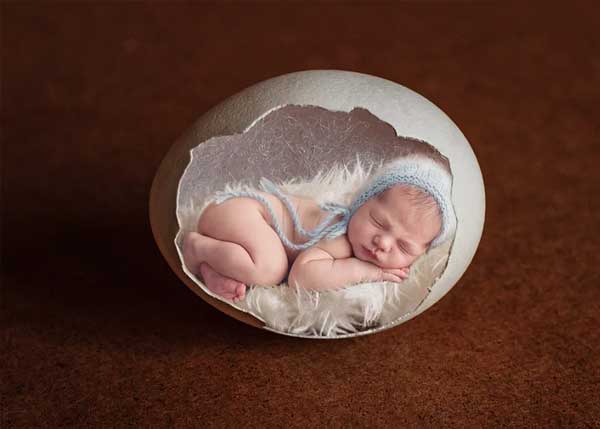 Easter Newborn Backdrop
