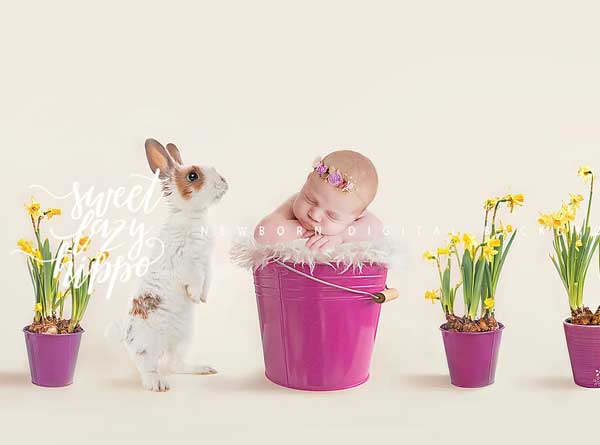 Easter Newborn Digital Backdrop