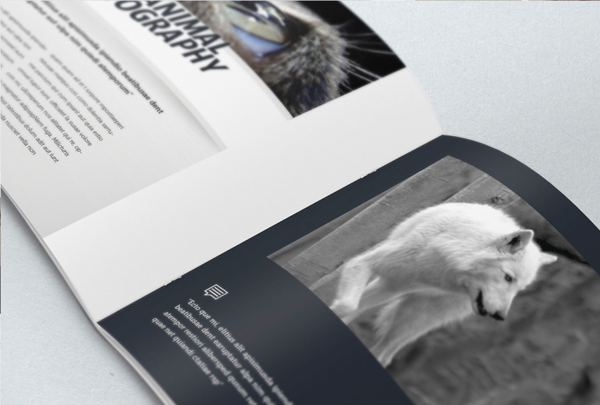 Elegant Photo Album Indesign Template