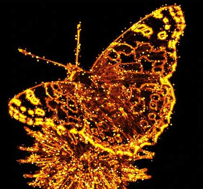 Fire Dots Effect Photoshop Action Templates