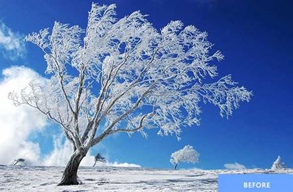 Four Seasons Photoshop Actions Pack