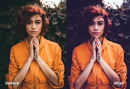 Lady Portrait Tones Actions