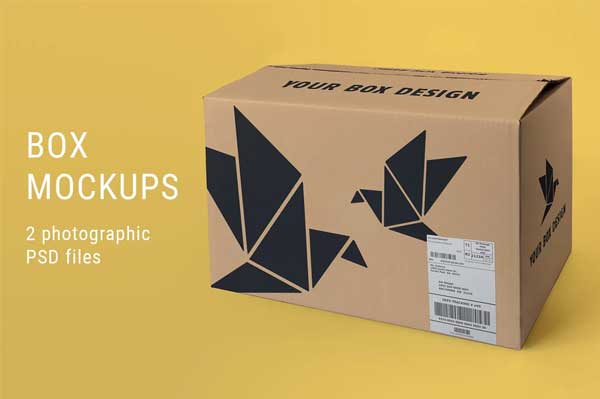 Large Box Mockup