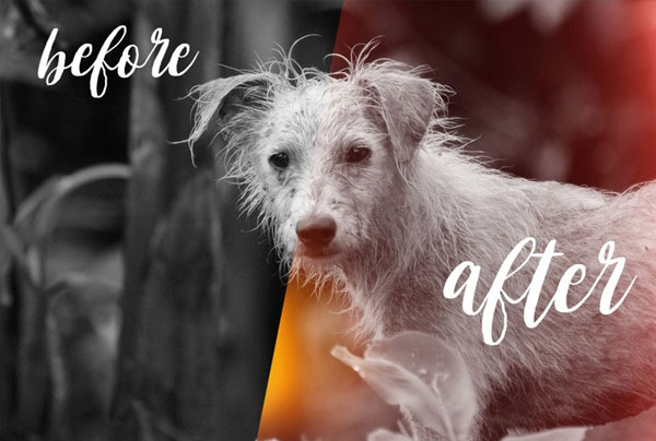 Lens Flare Spirit Photoshop Action