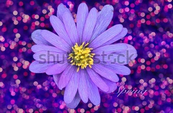 Macro Flower Dotted Background Photoshop Actions