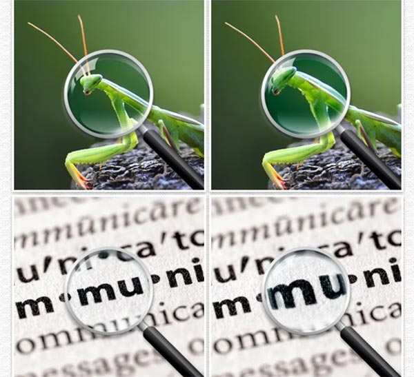 Magnifying Photoshop Glass Action