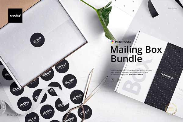 Mailing Box Mockup Bundle
