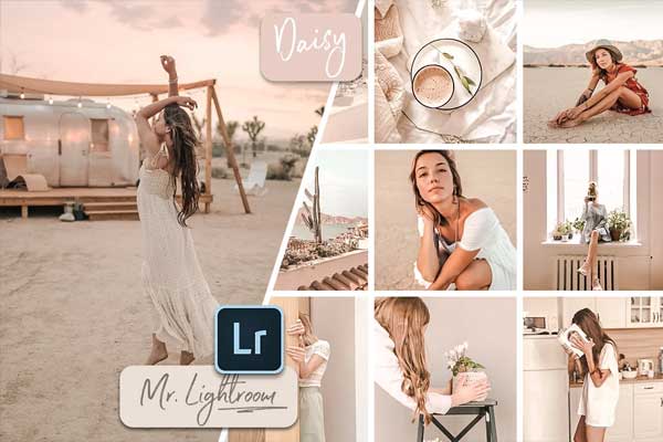 Mattes Daisy Lightroom Presets Template