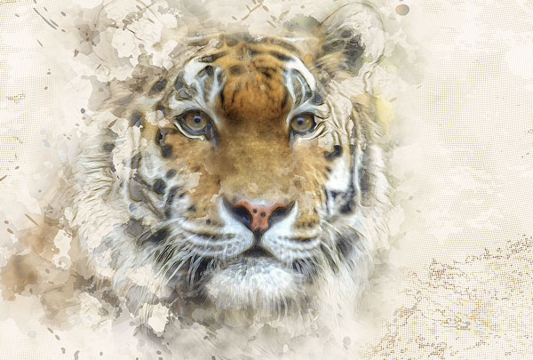 Mixed Painting Paintum Photoshop Action