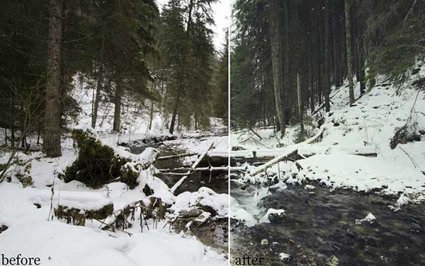 Natural Tones Photoshop Action