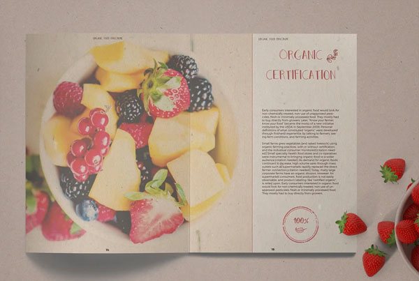 Organic Food Brochure / Magazine