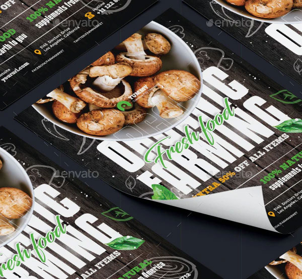 Organic Food Farming Flyer