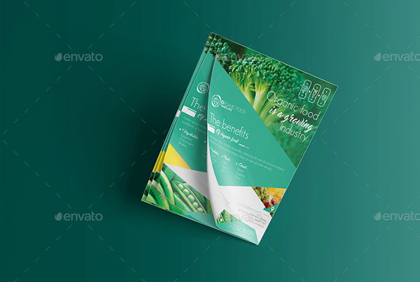 21+ Food Flyer Templates | Free & Premium PSD | Vector | PNG | EPS Downloads