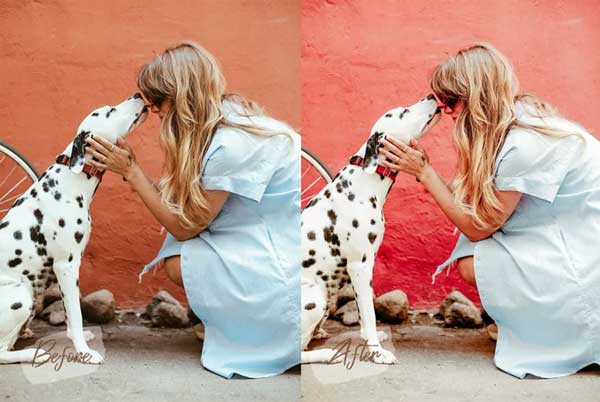 Pet Lovers Mobile Lightroom Presets Templates