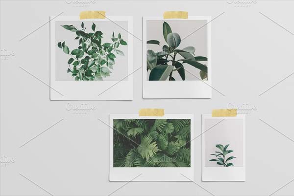 Photographic Frame Mockups