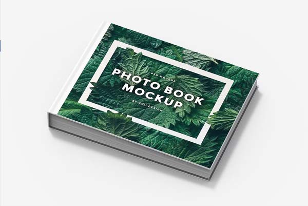 PowerPoint Photo Album Download
