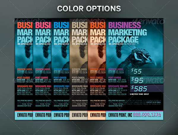 Printer Marketing Plan Flyer Template