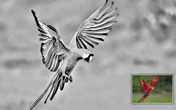 Real Hand Sketch Photoshop Action Template