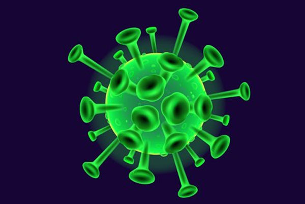 Realistic 3D Coronavirus