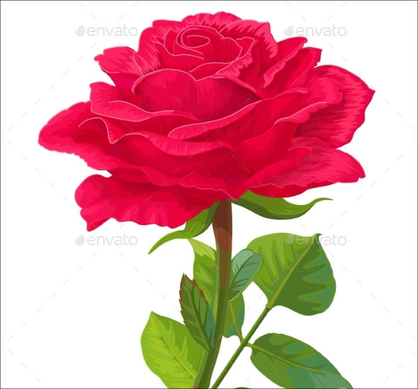 Realistic 3D Rose Models