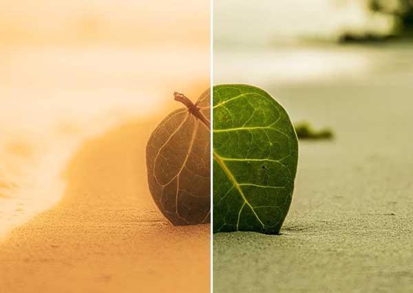 Reddish Color Photoshop Actions