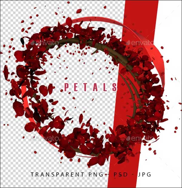 Rose Petals 3D Renders