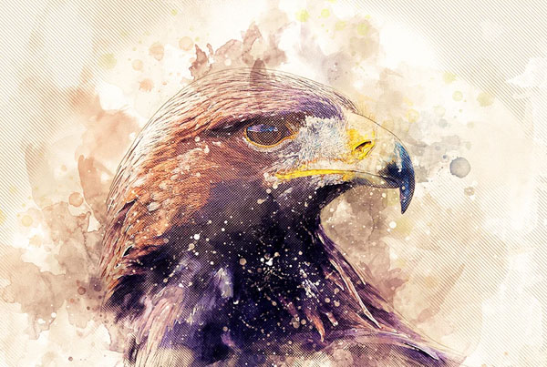 Sample Mixed Art Photoshop Action
