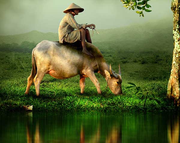 Sample Water Reflection Photoshop Action