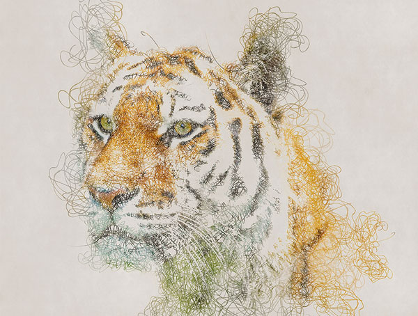 Scribbles Art Project Photoshop Action