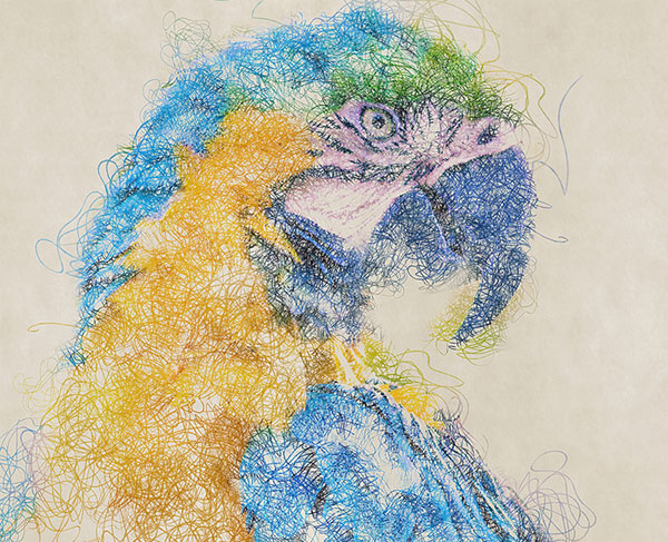 Scribbles Art Sketch Photoshop Action