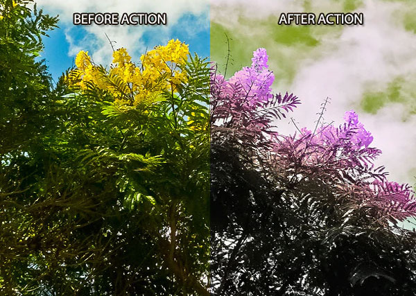 Silver Color Shadows Photo FX Action