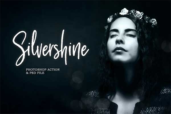 Silvershine Photoshop Action