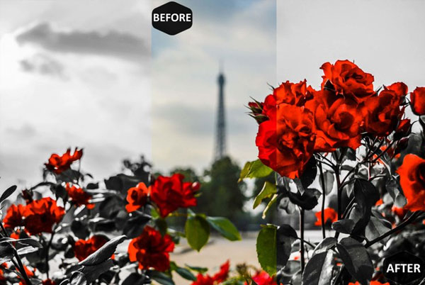 Simple Reddish Color Photoshop Actions