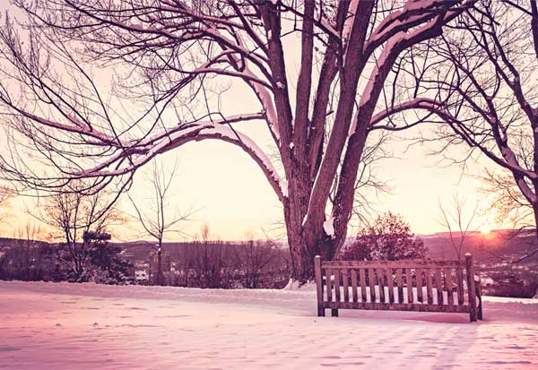 Simple Winter PS Actions